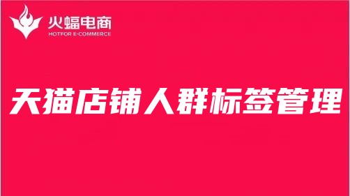 景德鎮(zhèn)天貓代運營 景德鎮(zhèn)天貓代運營